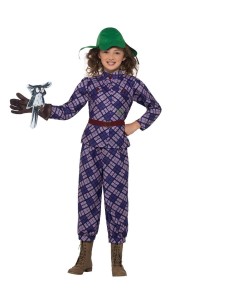 David Walliams Deluxe Awful Auntie Costume