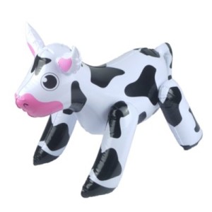 INCOW